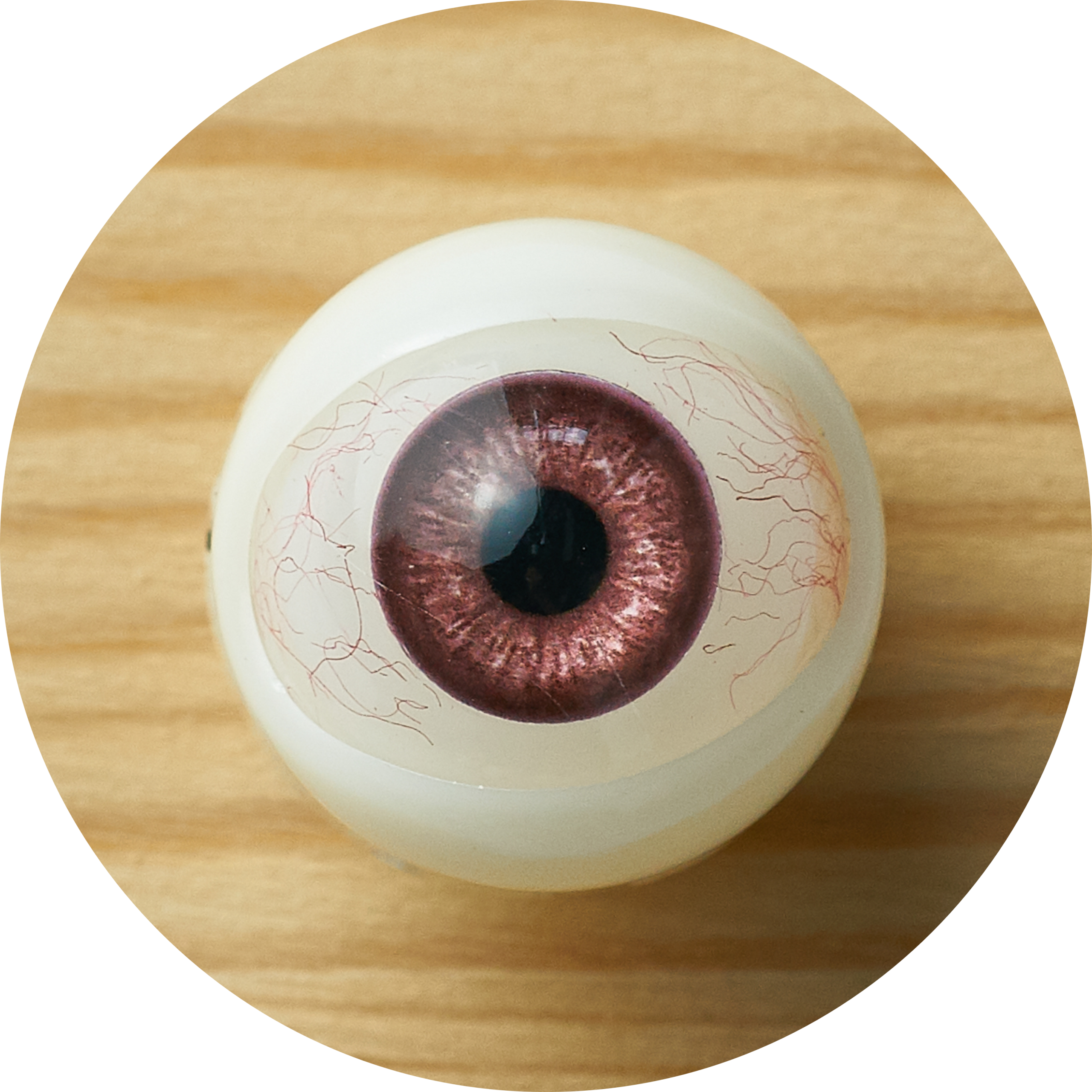 Color swatch image