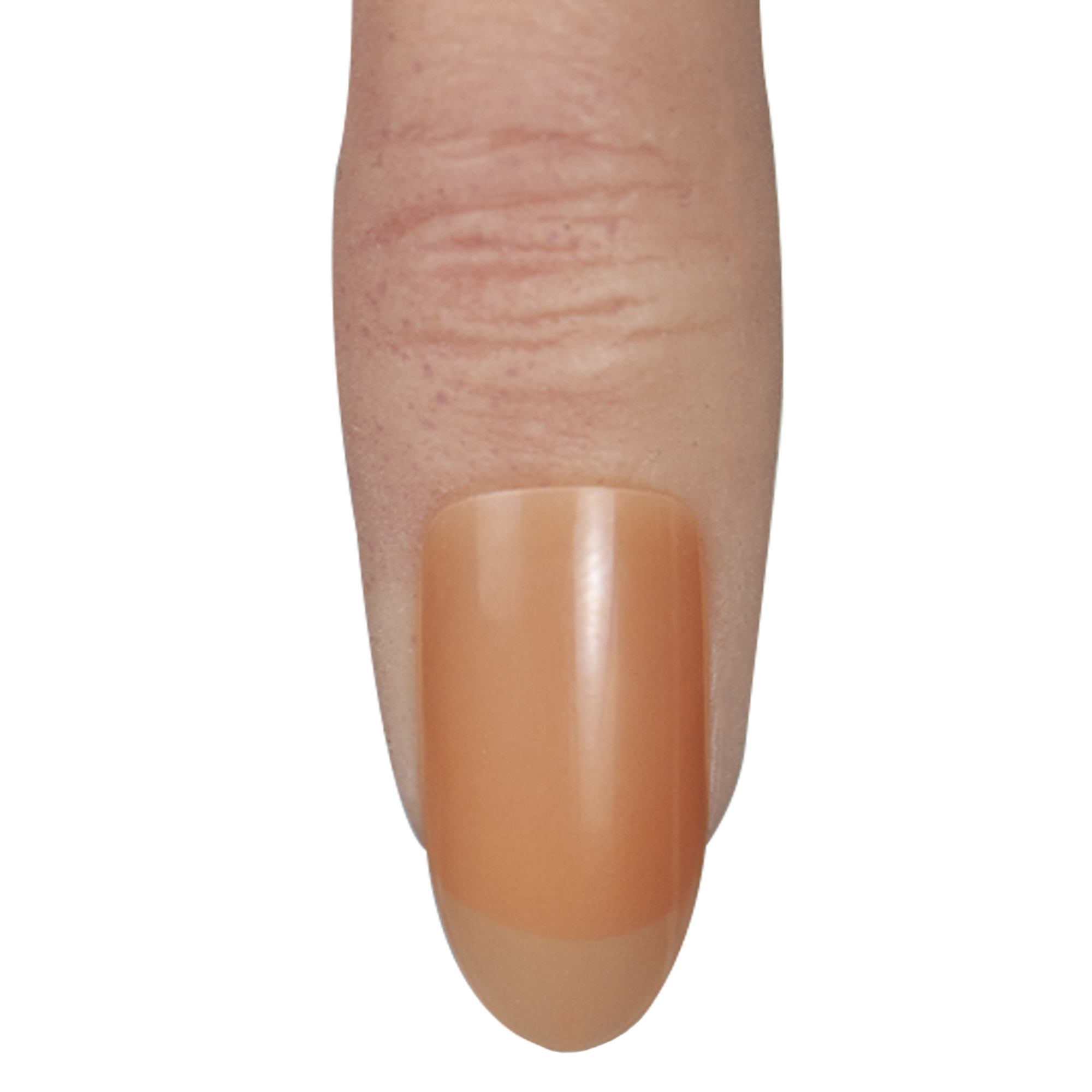 Color swatch image