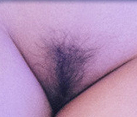 Color swatch image