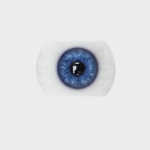 Color swatch image