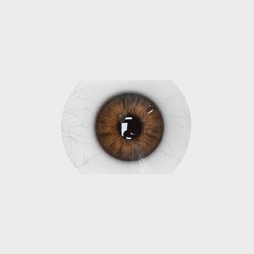 Color swatch image