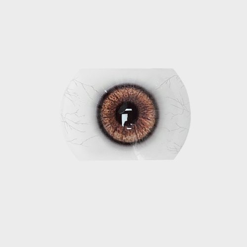 Color swatch image