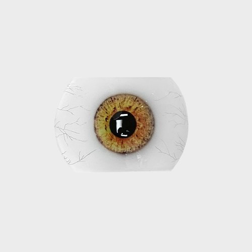Color swatch image