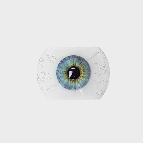 Color swatch image